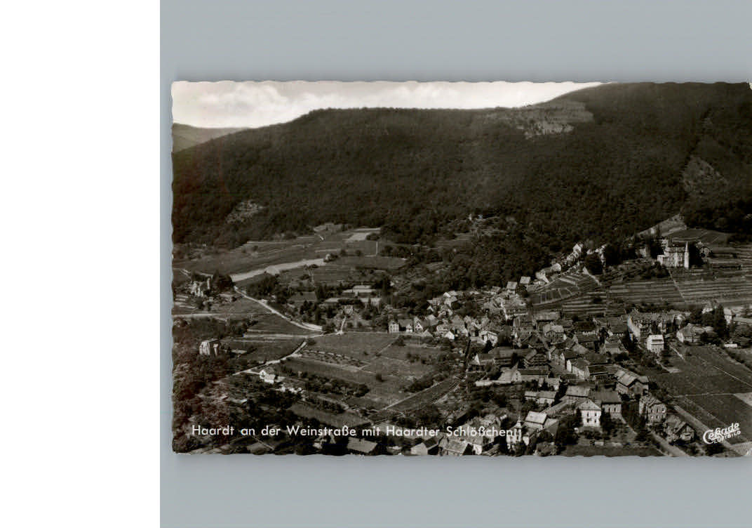 Haardt Weinstrasse Fliegeraufnahme