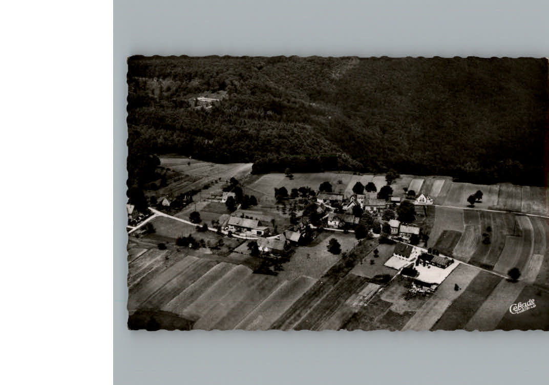 Wilgartswiesen Fliegeraufnahme