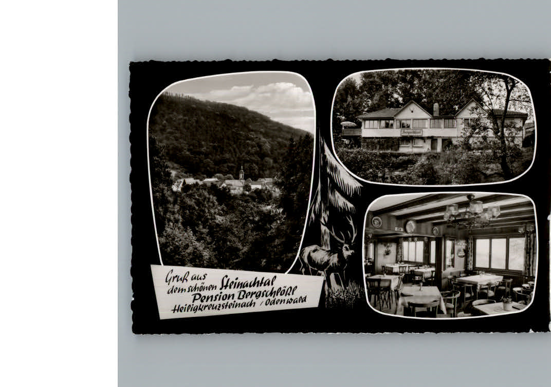 Heiligkreuzsteinach Pension - Cafe Bergschloessl