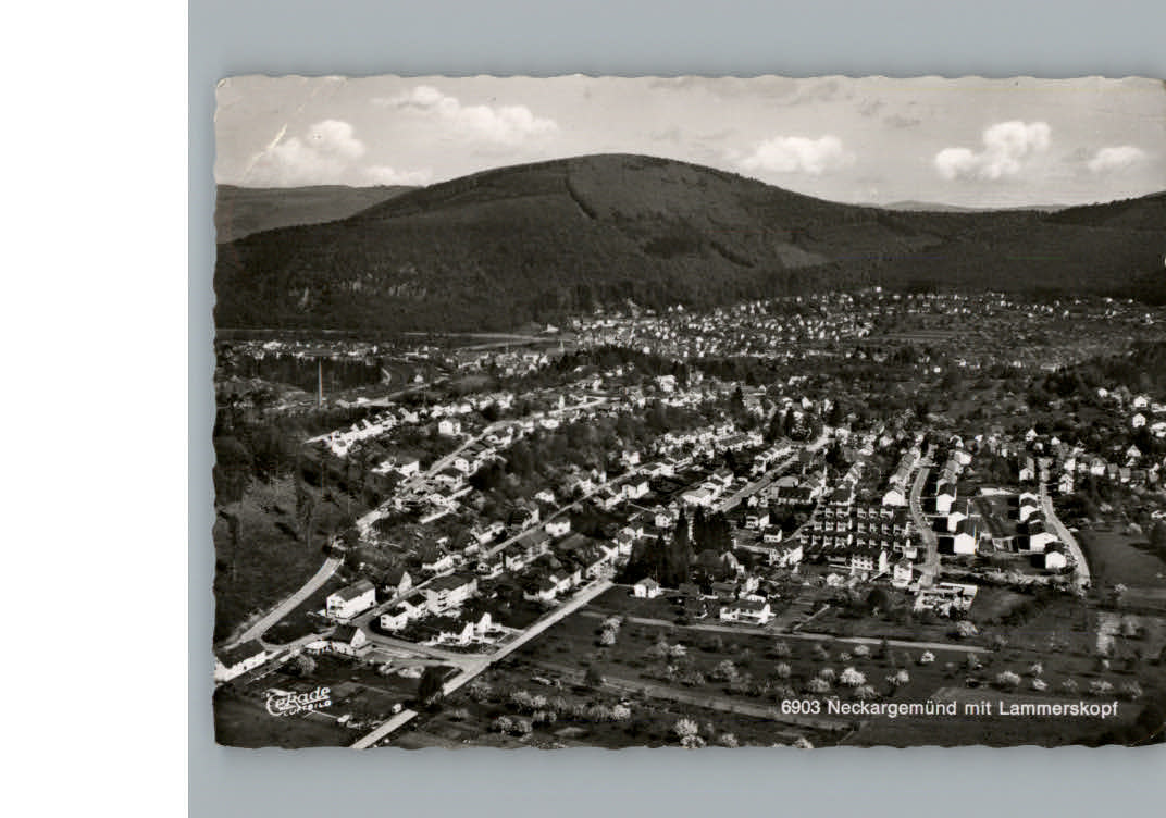 Neckargemuend Fliegeraufnahme