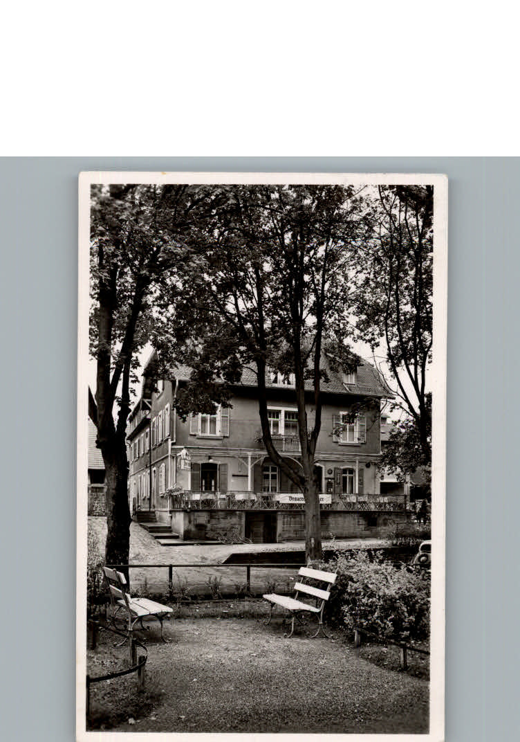 Bad Rappenau Gasthof - Pension -  Brauerei  Haeffner