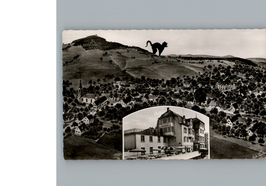 Waldkatzenbach Gasthof Katzenbuckel