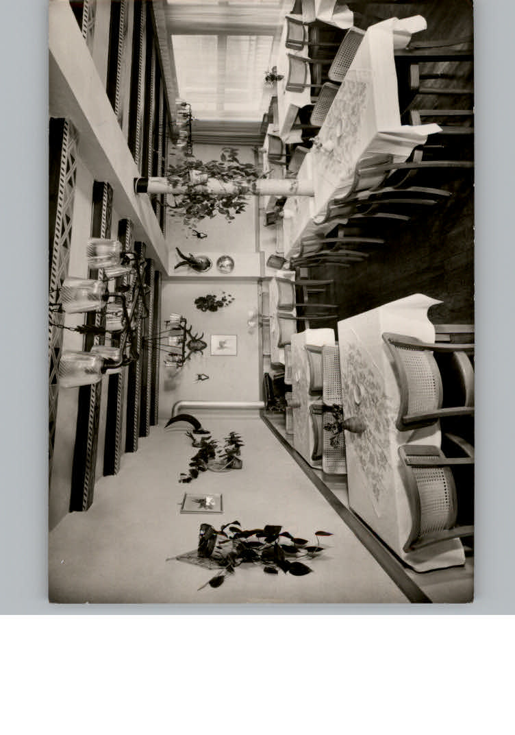 Heidelberg Neckar Gasthaus - Pension Schriesheimer Hof