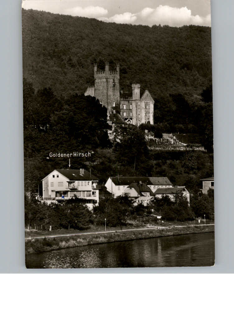 Neckarsteinach Restaurant - Cafe Goldener Hirsch