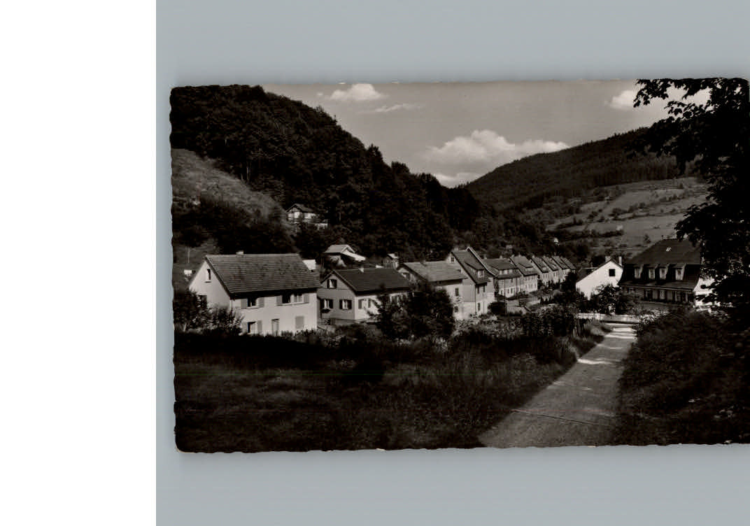 Alpirsbach Kraehenbadstr. Kurhaus Waldeck