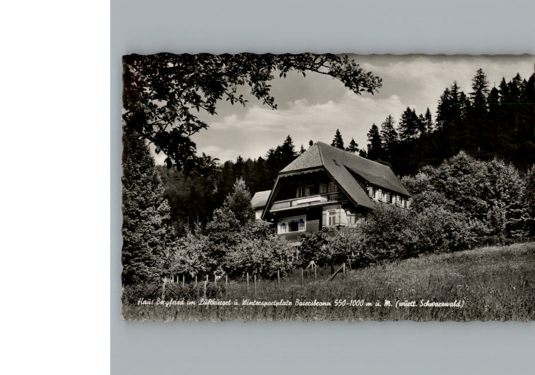 Baiersbronn Schwarzwald Pension Haus Bergfried