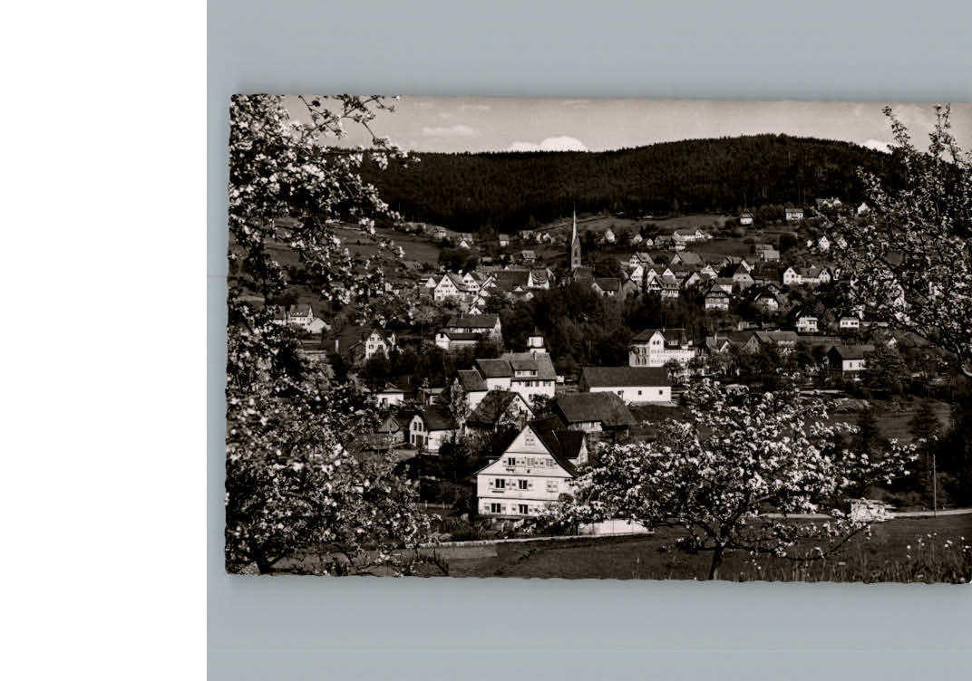 Baiersbronn Schwarzwald