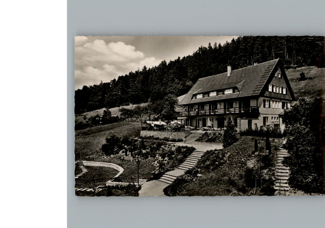 Alpirsbach Gaststaette Burghalde