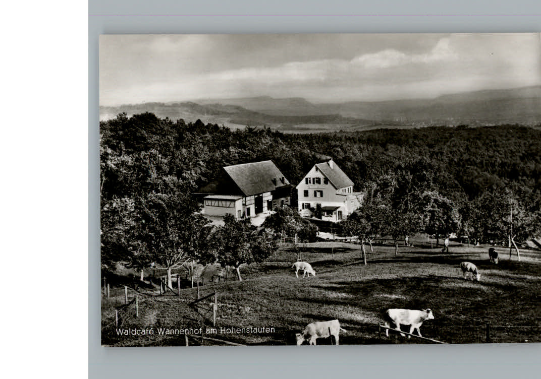 Hohenstaufen Cafe Wannenhof