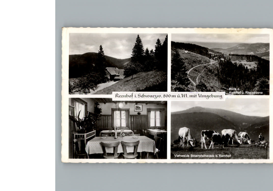 Seebach Ortenaukreis Gasthaus Pension Kernhof