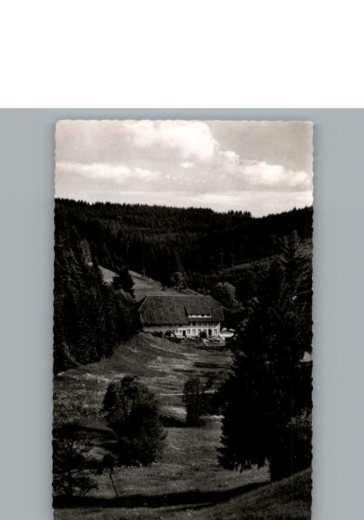 Grafenhausen Schwarzwald Hotel Schluechtmuehle