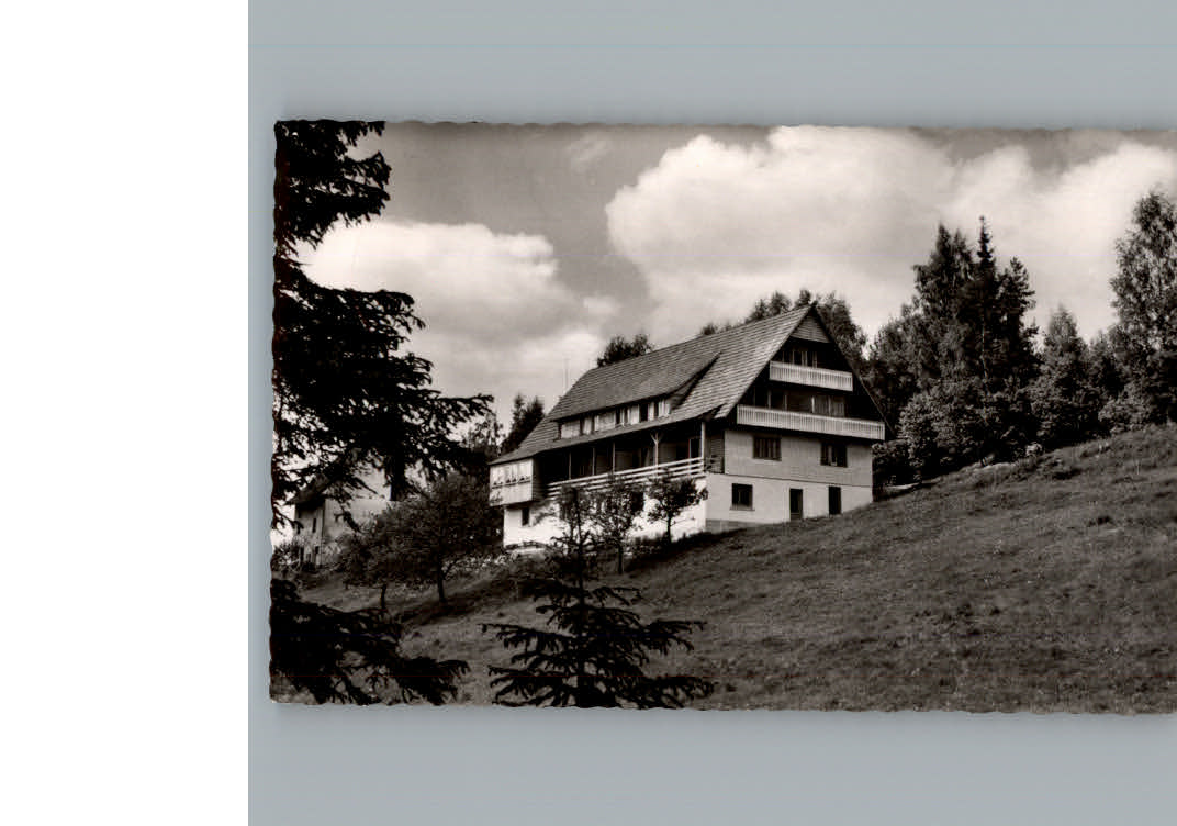 Holzschlag Bonndorf Pension Waldfrieden