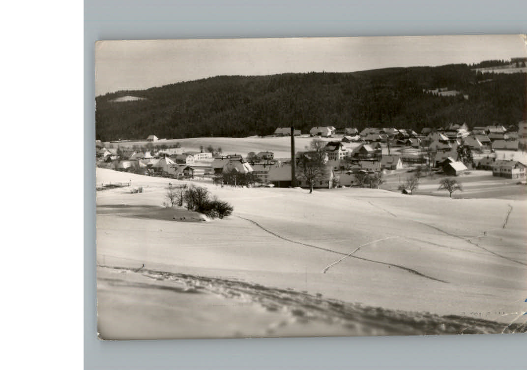 Haeusern Schwarzwald