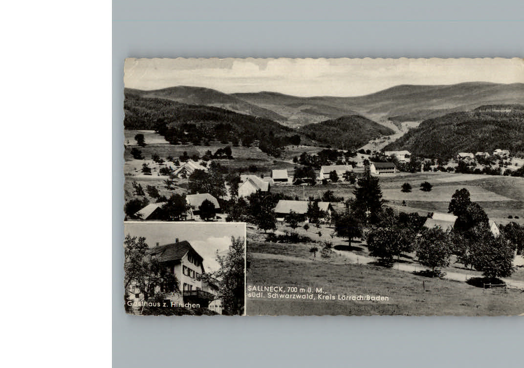 Sallneck Gasthaus zum Hirschen