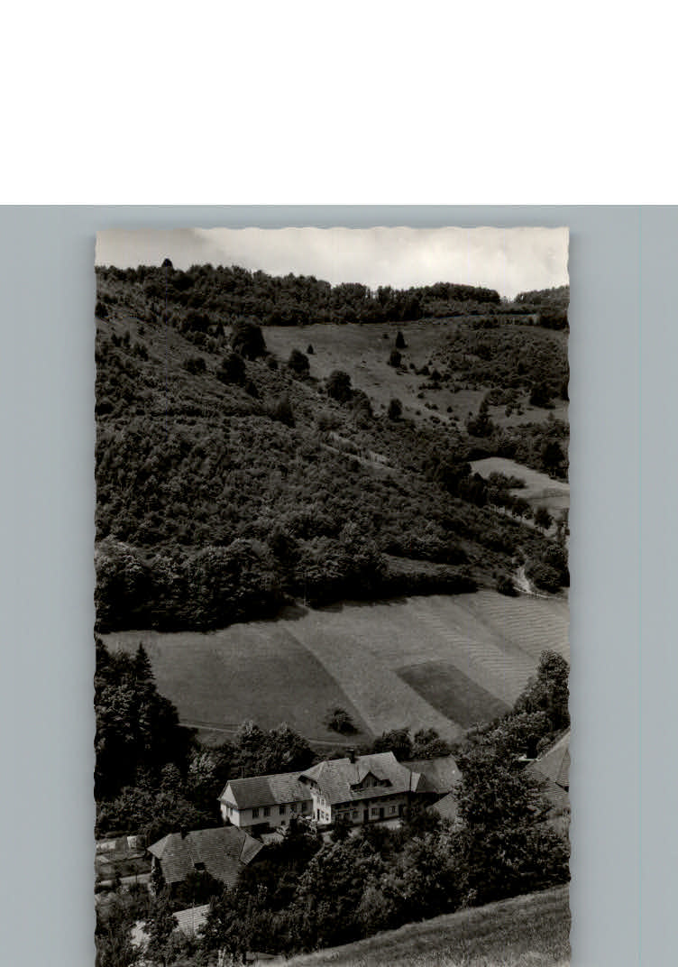 Aitern Gasthof Pension zum Roessle