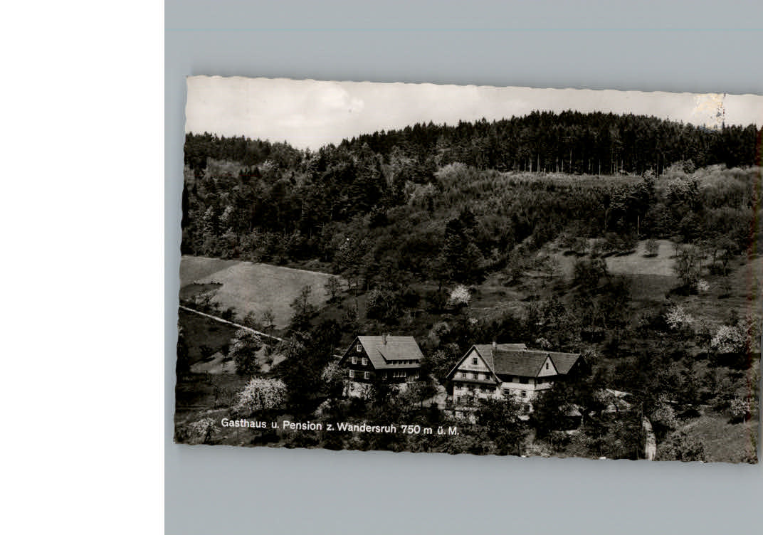 Sohlberg Gasthaus Penson zum Waldesruh