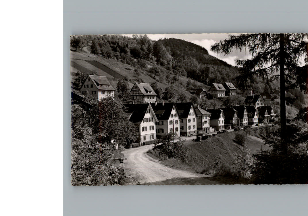 Bad  Peterstal Leopoldstrasse