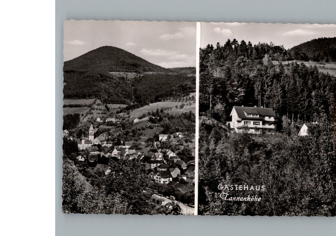 Bad  Peterstal Pension Tannenhoehe