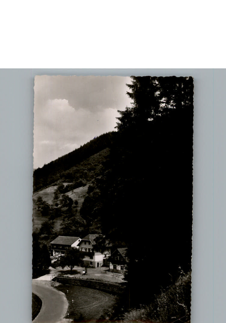 Oberharmersbach Pension Haus Schwarzwald-Idyll