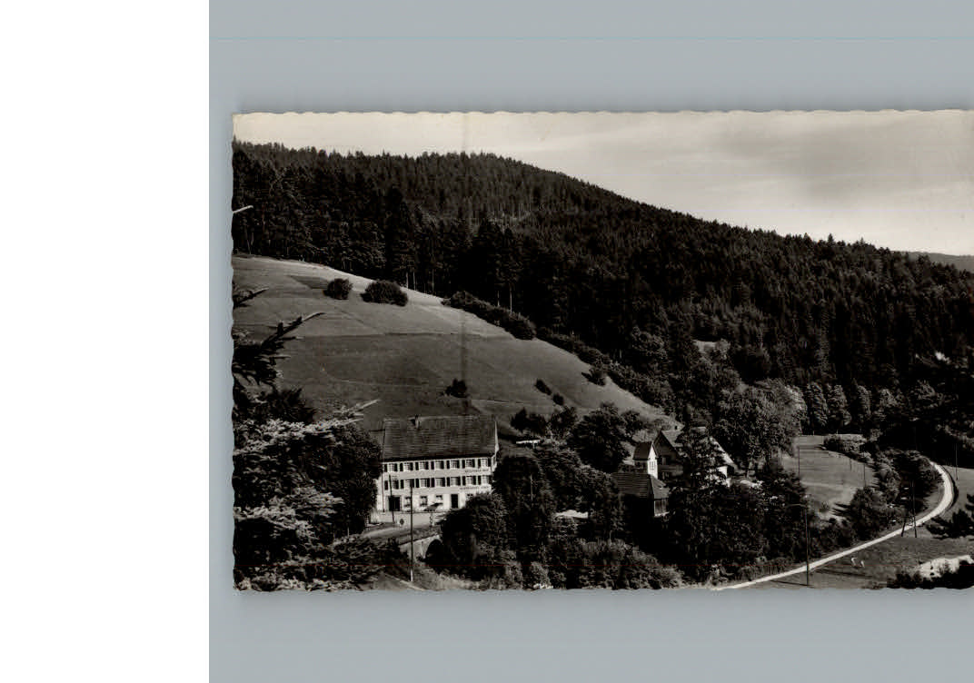 Bad Rippoldsau Hotel Kloesterle Hof