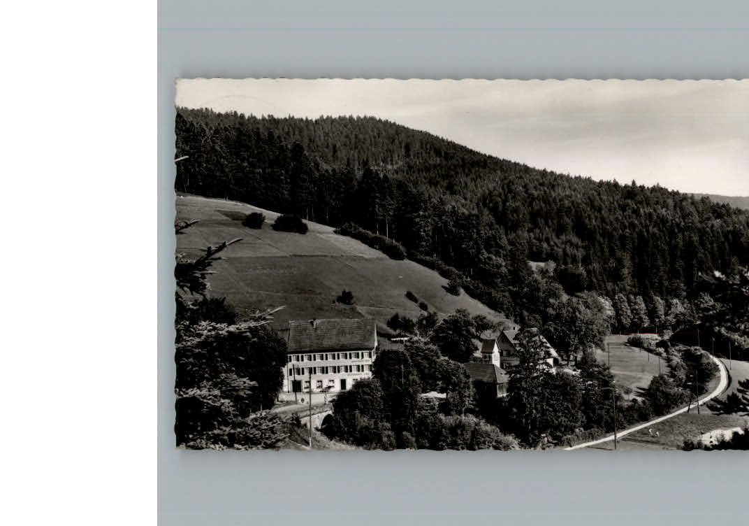 Bad Rippoldsau Hotel Kloesterle Hof