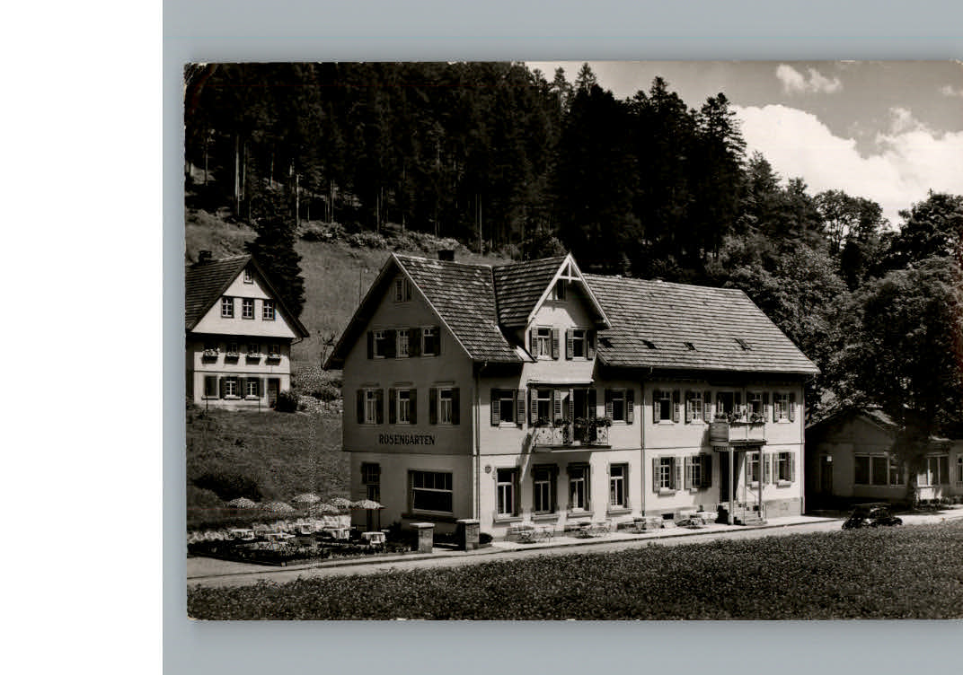 Bad Rippoldsau Hotel Rosengarten