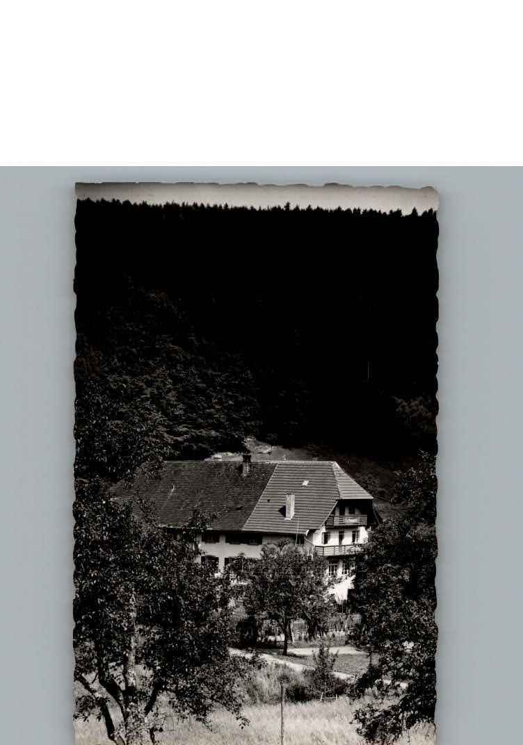 Seelbach Schutter Gasthaus zum Schwert