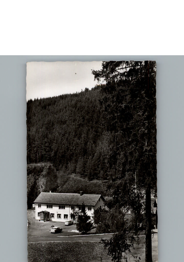 Voehrenbach Gasthof Pension Waldrast