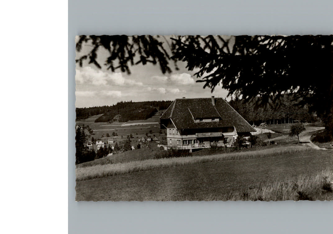 Schonach Schwarzwald Pension Cafe Bergwaldhof