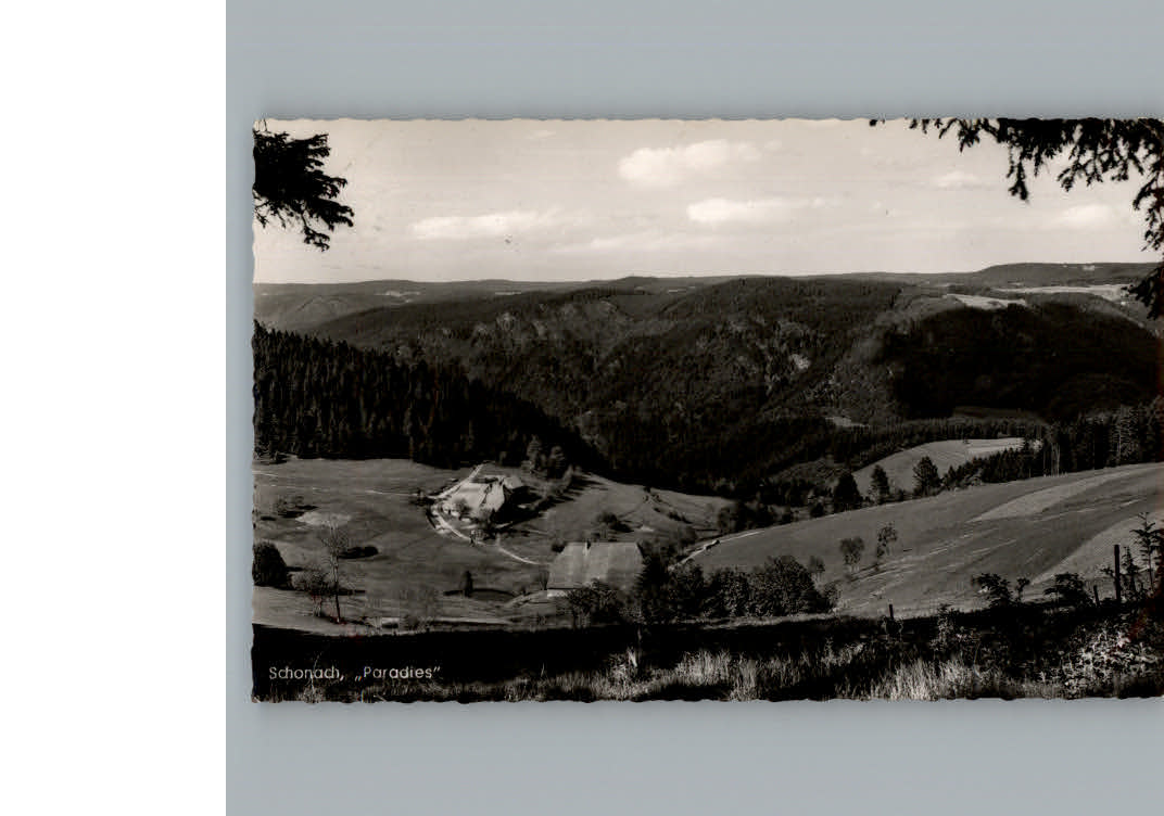 Schonach Schwarzwald