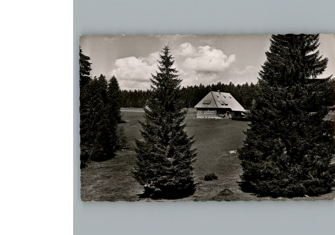 Furtwangen Gasthaus-Pension Martinskapelle