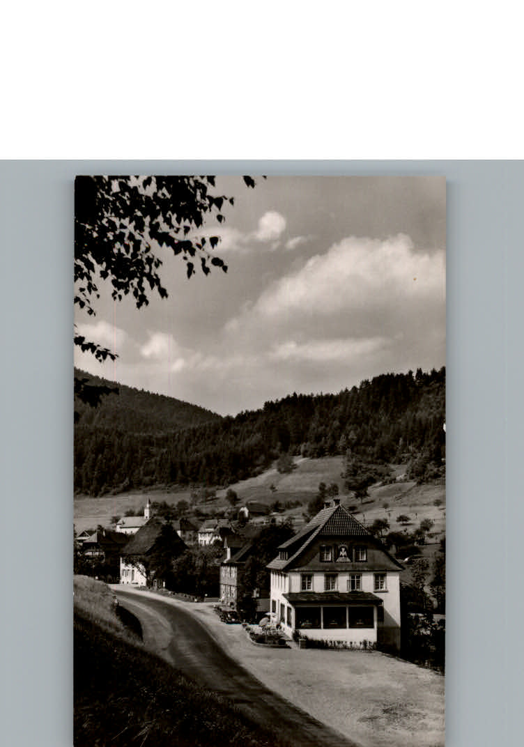 Niederwasser Cafe Kuckuck