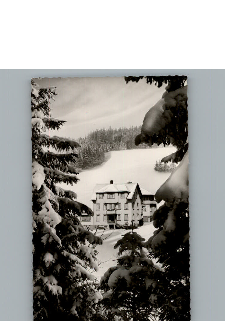 Schoenwald Schwarzwald Pension Haus Dorer