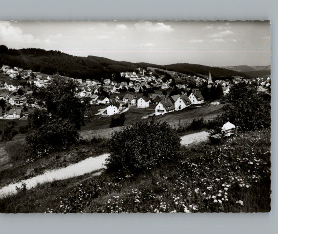 Schonach Schwarzwald