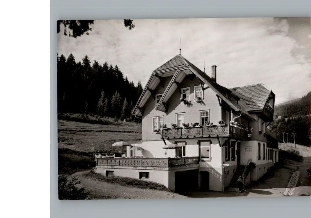 Hinterzarten Gasthaus Pension zur Esche