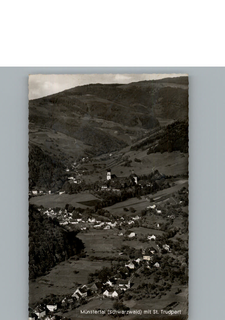 Muenstertal Schwarzwald