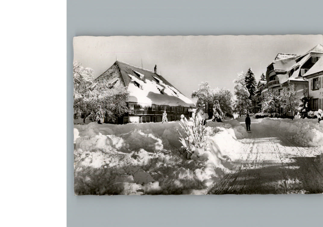 Hinterzarten Hotel Adler