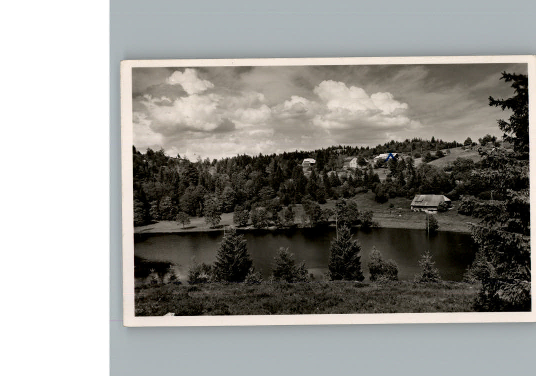 Horbach St Blasien Klostersee