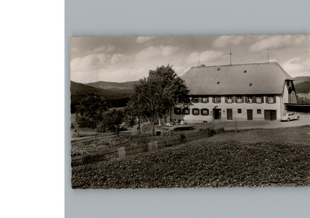 Faulenfuerst Gasthaus zum Roessle