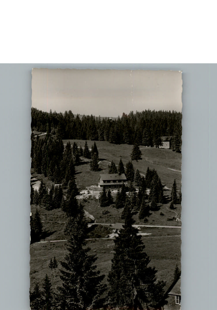 Feldberg Schwarzwald Gasthaus Pension zum Auerhahn