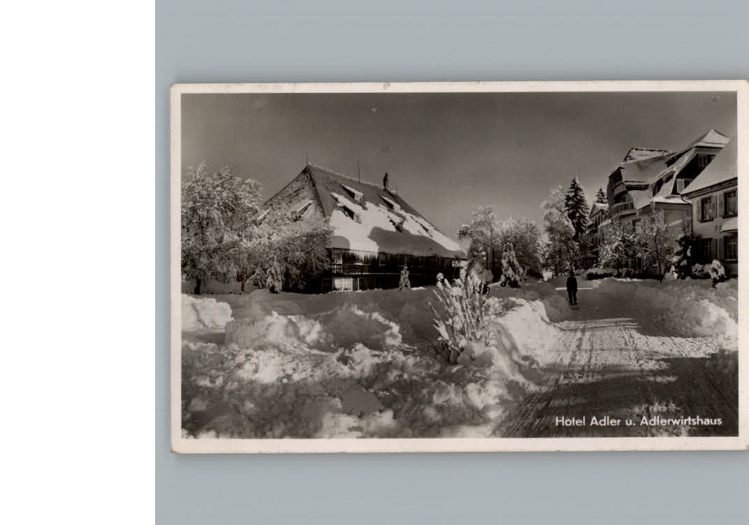 Hinterzarten Hotel Adler