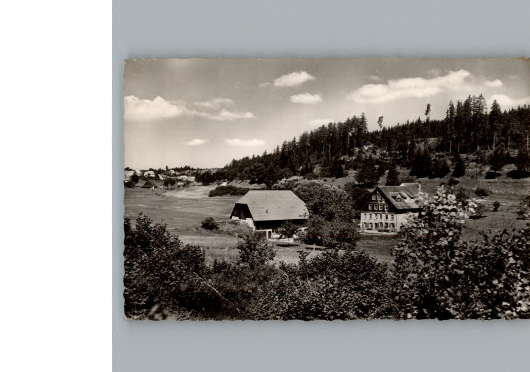 Seppenhofen Gasthaus Pension zur Linsimuehle