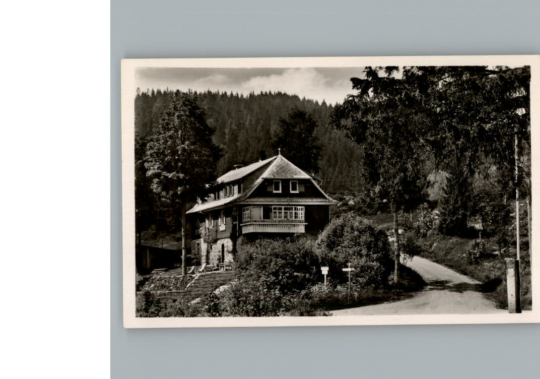 Blasiwald Pension Haus Schwoerer