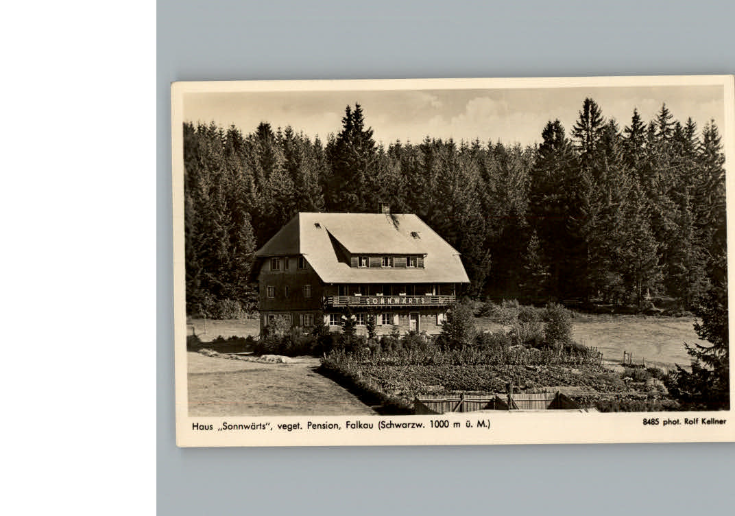 Falkau Pension Haus Sonnwaerts