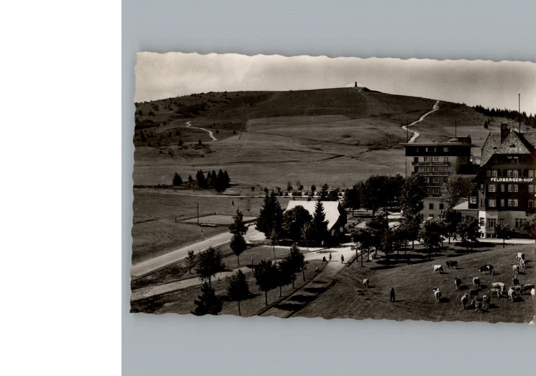 Feldberg Schwarzwald Hotel Feldberger Hof
