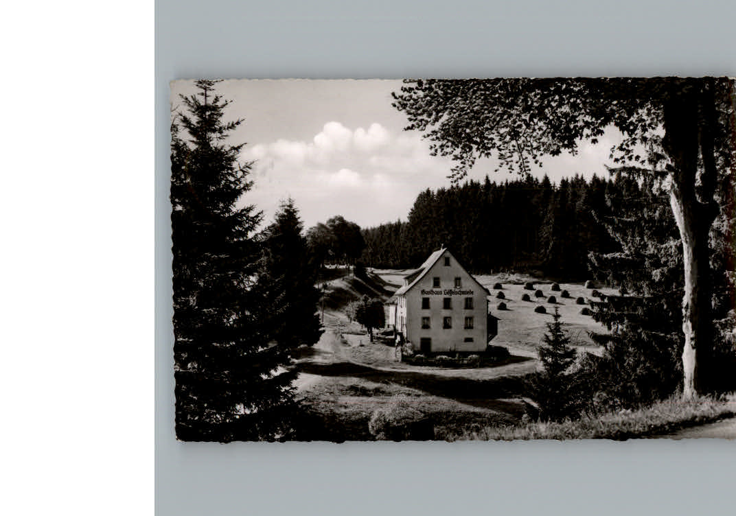 Lenzkirch Gasthaus Pension Loeffelschmiede