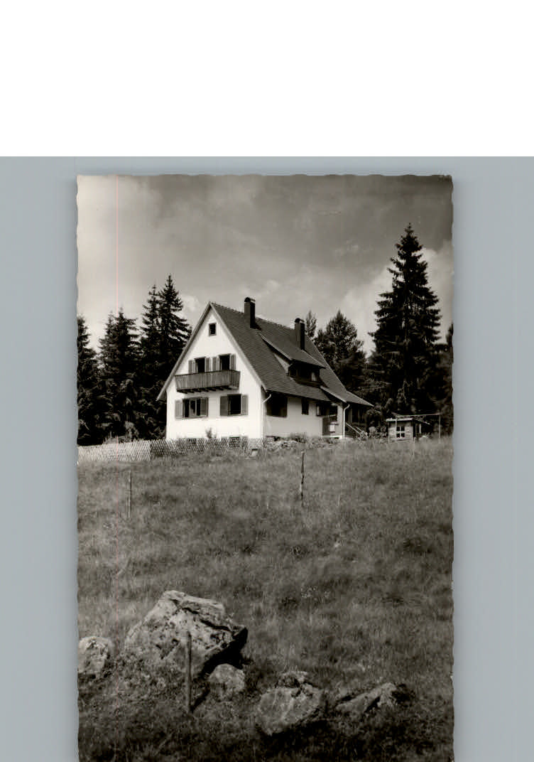 Saig Schwarzwald Pension Haus in den Birken