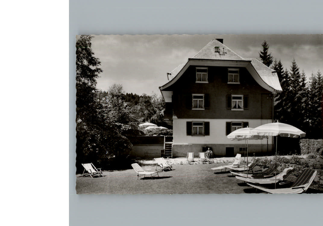 Hinterzarten Pension Haus Tannenhof