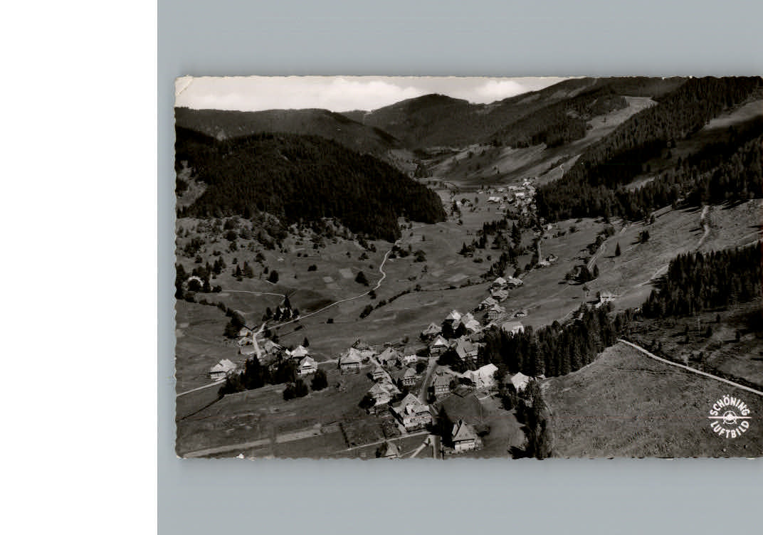 Menzenschwand Fliegeraufnahme