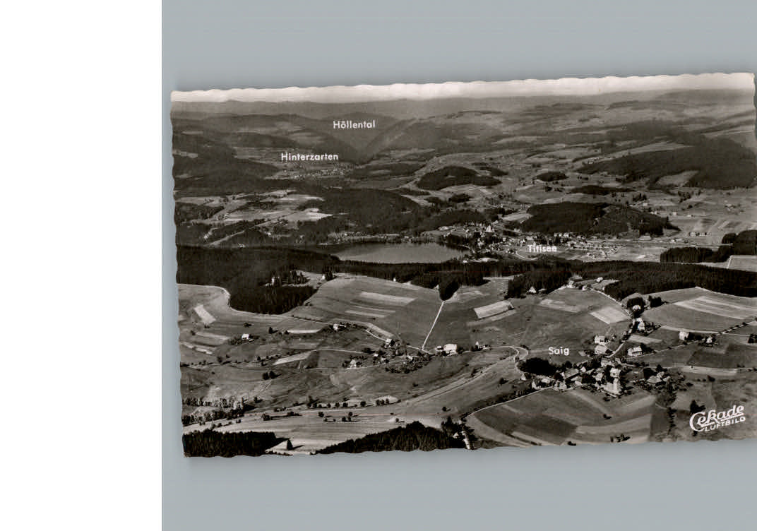 Titisee Fliegeraufnahme